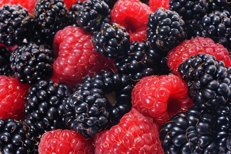 The Top Wellness Trends to Watch for in the New Year